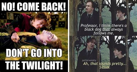 harry potter memes